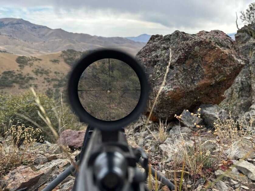 3 - Fireside Stories: How I Killed My Smallest Bull Elk on The Best Tag I've Ever Had - Part 1 of 3 Rifle crosshairs are on a bedded elk as a rifle sizes up the shot.