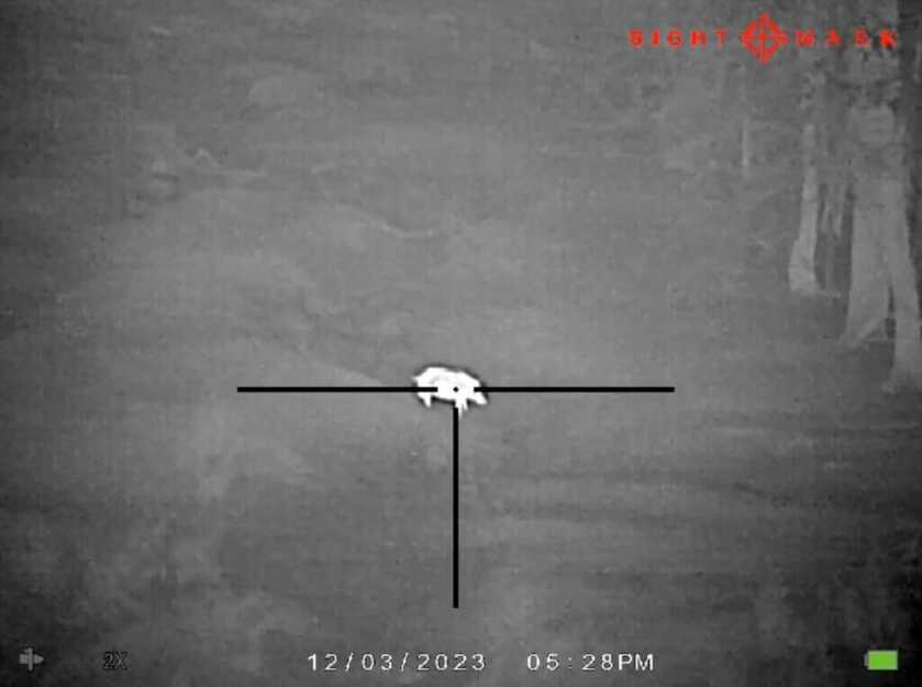 3 - Heating Seeking Optic: Sight Mark Wraith Mini Thermal Thermal with German reticle