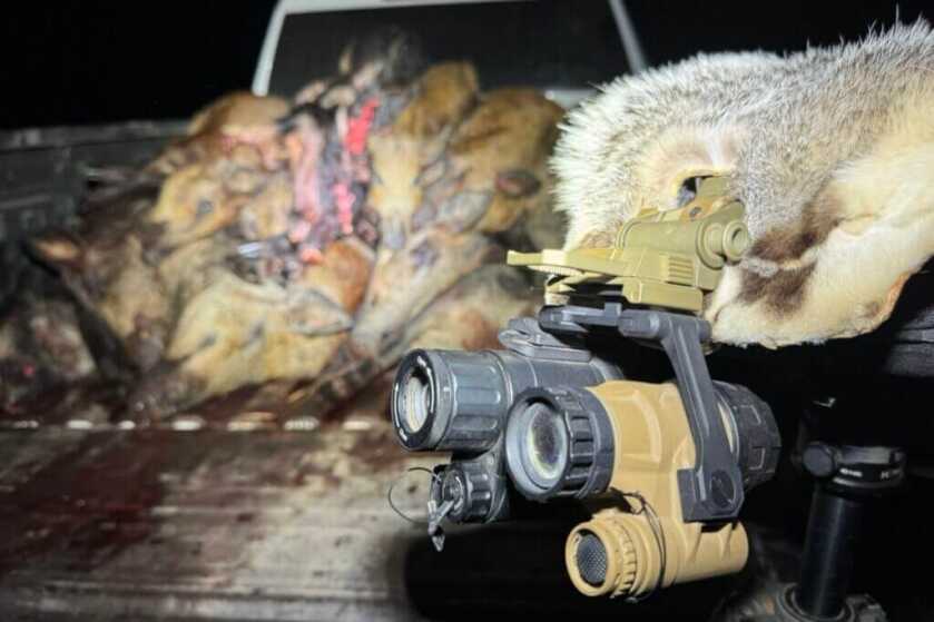 Panobridge M1 with furs, night vision, and a truck bed
