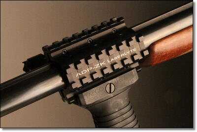 Mounted on a Rossi Coach Gun