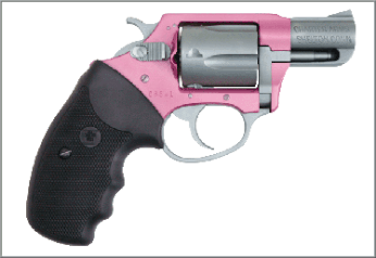 This is the pink version. If you click through to their website, you'll see that these guns come with a pink faux alligator case, and they are available both in a high polish and matte finish. Charter takes a lot of pride in bringing guns people love and can afford to the masses.