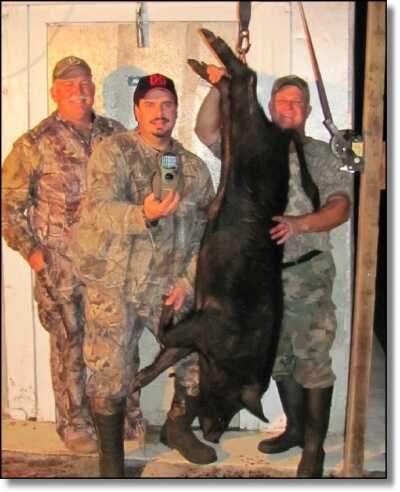 Summer Hunting Anyone?  - Varmint and Predator Hunting All Year Round