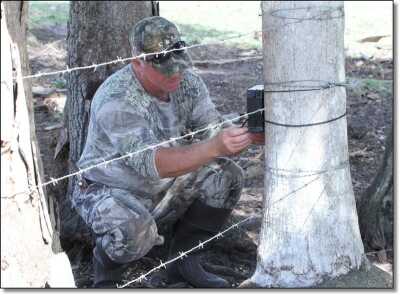 Summer Hunting Anyone?  - Varmint and Predator Hunting All Year Round