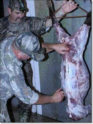 American Tactical Imports ATI 1911 .22 Rimfire with Fake Silencer- New Gun Review