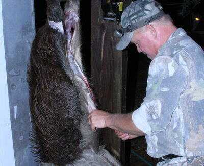 American Tactical Imports ATI 1911 .22 Rimfire with Fake Silencer- New Gun Review