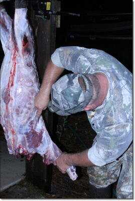 American Tactical Imports ATI 1911 .22 Rimfire with Fake Silencer- New Gun Review