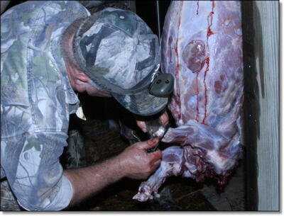 American Tactical Imports ATI 1911 .22 Rimfire with Fake Silencer- New Gun Review