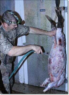 American Tactical Imports ATI 1911 .22 Rimfire with Fake Silencer- New Gun Review