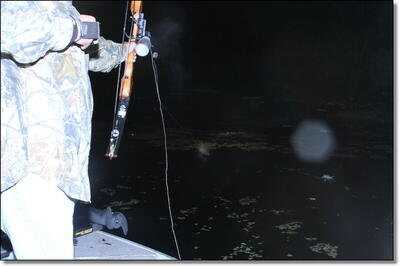 Gator Season is Here! - Alligator Hunting in Florida 101