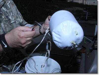 Gator Season is Here! - Alligator Hunting in Florida 101