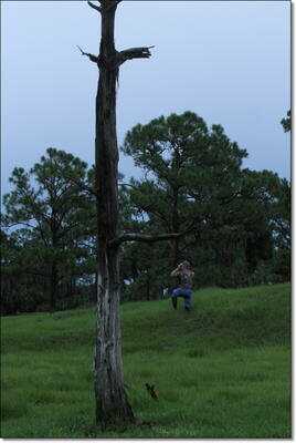 Gator Season is Here! - Alligator Hunting in Florida 101