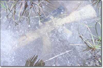 Underwater AK-47  - The Zastava PAP from Century Arms