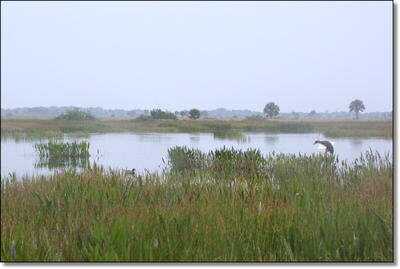 Duck Hunting in September