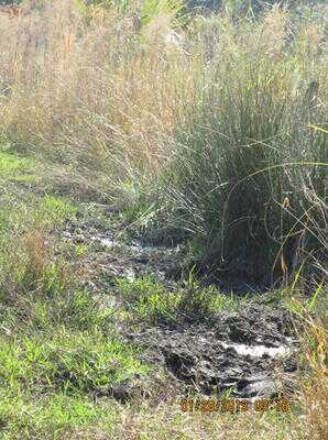 Mossberg Silver Reserve II Over/Under Shotgun—New Gun Review Mossberg Silver Reserve II Over/Under Shotgun—New Gun Review