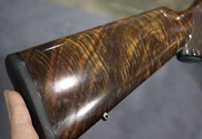 blaser06