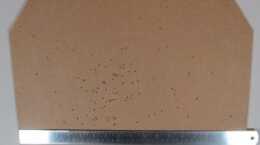 Reversing the snake target gives a better view of the pattern density and spread.