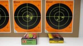 Equipped with a red dot sight and combination tactical light/laser, the DB15P could be a formidable short-range personal defense weapon.