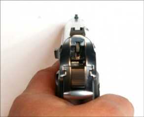 Sights are trim, but easy to use