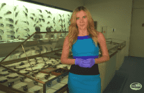 Do You Know the Difference Between Derringers and 'Deringers'?