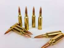 Federal's New 224 Valkyrie Match Load