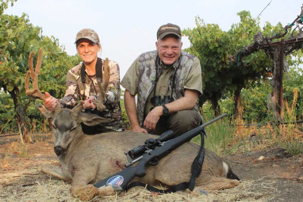 First Deer of the Year