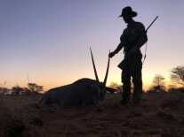 New Federal .284/7mm 155 Grain Edge TLR Bullet Review