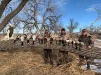 Hunting the River for Ducks