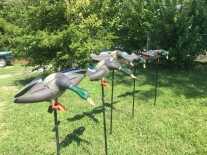 Decoy Spreads with Water Motion