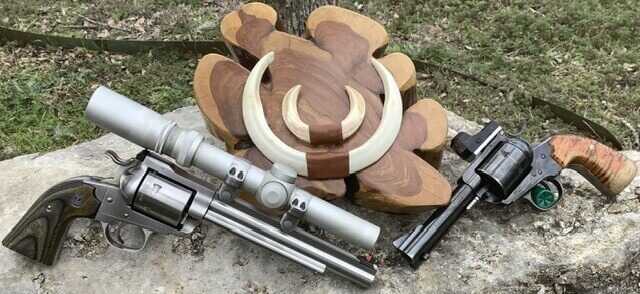 wild boar tusks with pistols