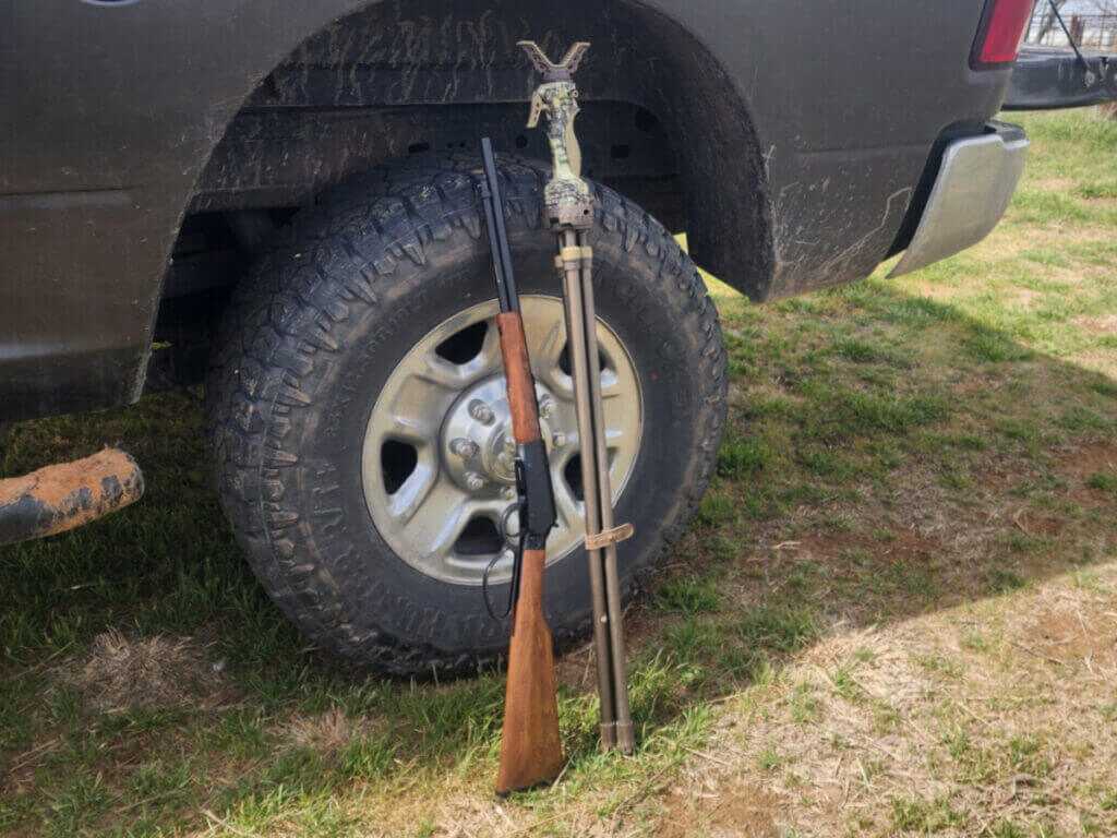 rifle and shooting sticks