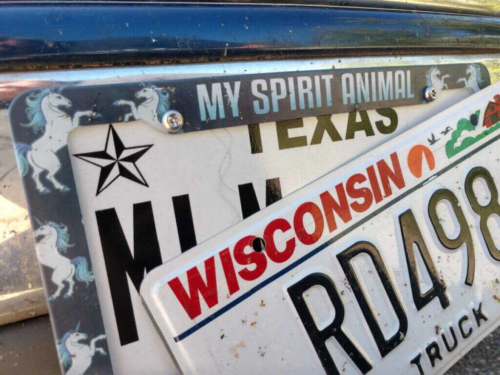 texas and wisconsin license plates