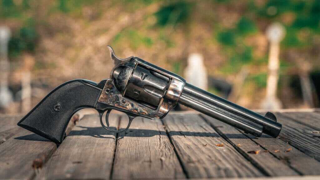 Taylor's & Company 1873 TC9 Revolver