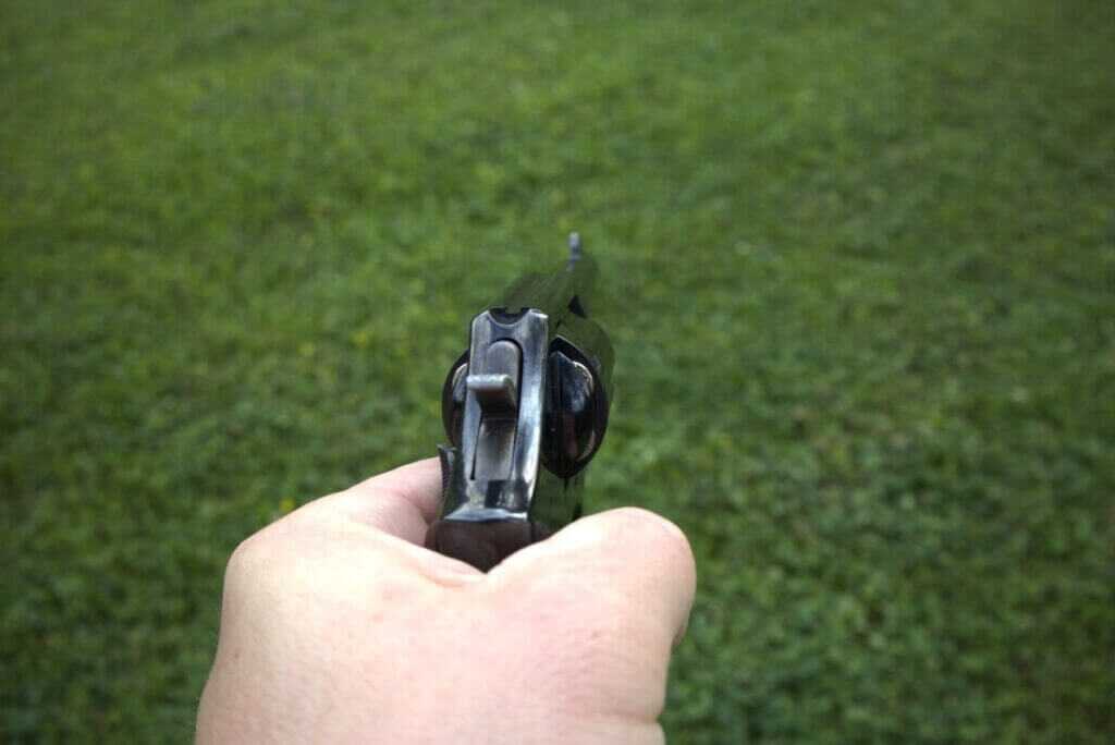 model 10 fixed sights