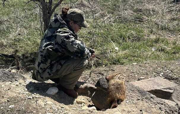 lady and a Rockchuck