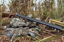 Charles Daly Triple Crown Review