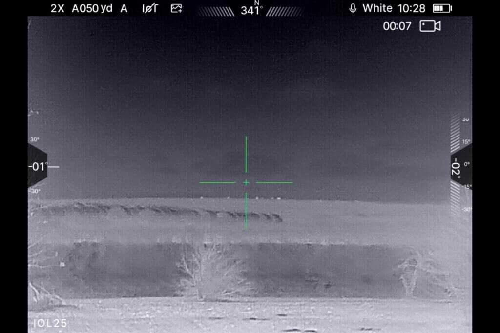 Thermal view of distant cattle detected by the IOL25 at approximately 2,700 yards