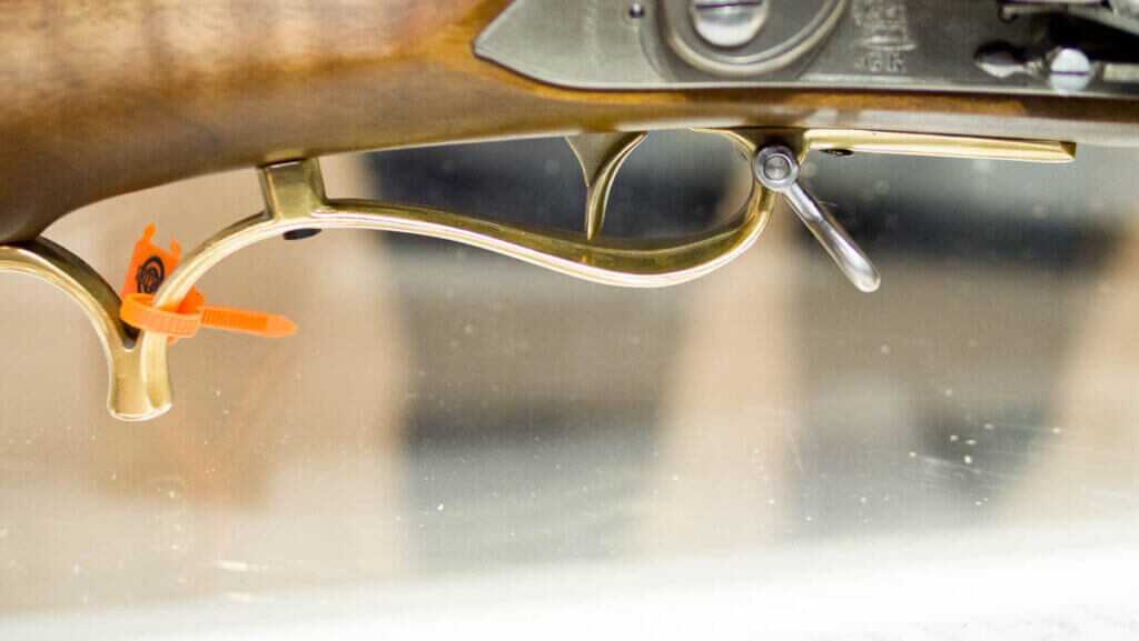 Close up view of the trigger and guard.