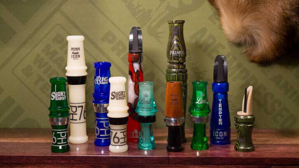 Photo of all the calls standing a shelf.