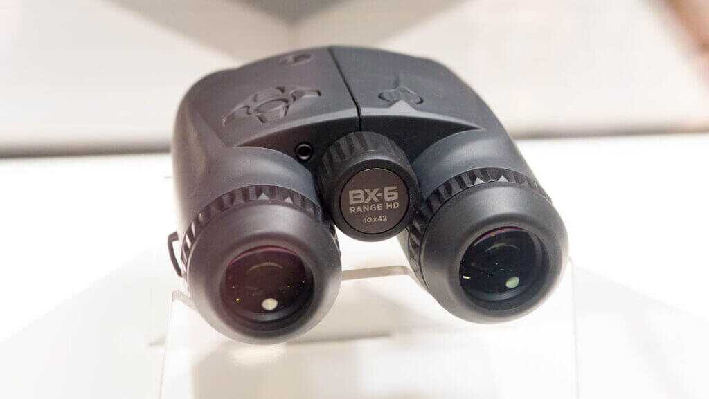 View of the occular lenses.