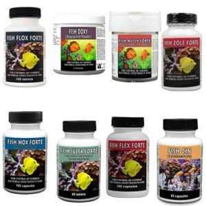 The best source of antibiotics is your local fish store. Online sellers can be found by Googling "fish mox".