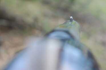 The Original Hand Cannon--no FFL required The front site is easy enough to see.