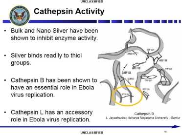 If colloidal silver work on Ebola, great. It is also useful for purifying water and disinfecting bacteria. 