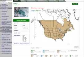 Just beware that you have to get out there and look for the plants. This map from USDA shows "wood sorrel" all over the US.