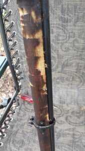 I had problems getting my barrel band off, but this gun had zero collectible value regardless. There are import stamps all over it. 