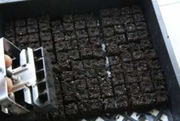 The blocks don't always stay all the way together, but the plants are really easy to pot out, and the roots don't ball up. 