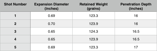 Remington Ultimate Defense 9mm expansion