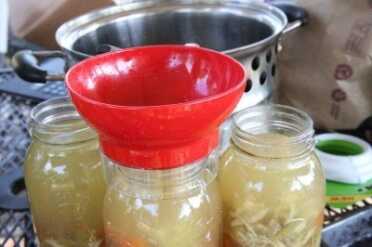 Of all the canning toys you can buy, I would suggest the jar lifter and this filling funnel that has the headspace marked on it.