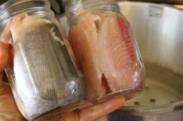 For my third batch I tried some fish 