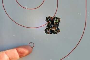 Carrying the Taurus Curve The laser, out of the box, pointed low left. But look at the group from the modest pistol.