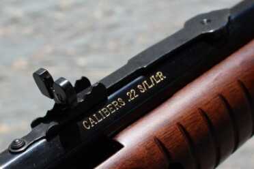 Gallery Gun Fun Henry's Pump 22 Buckhorn sight and 22 S/L?LR.